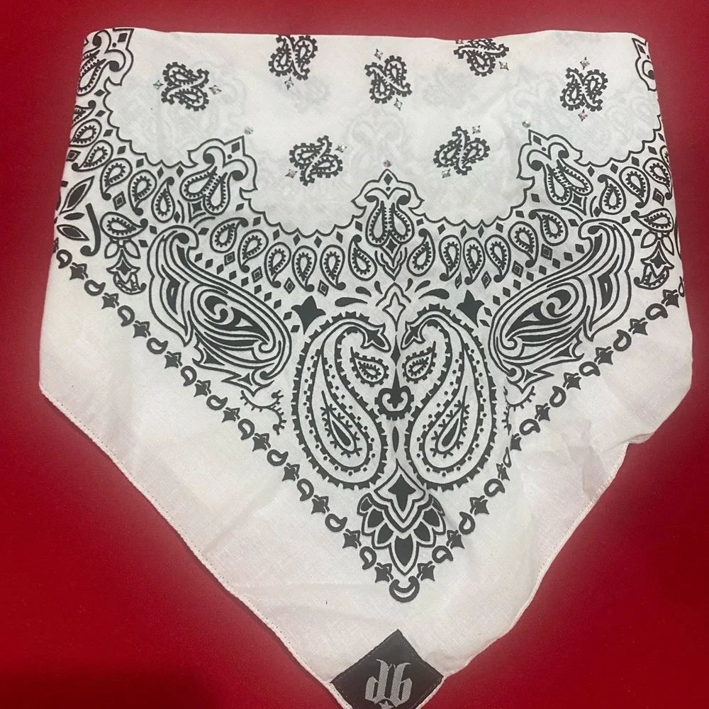 Dust Bandit Paisley Bandana Face Mask